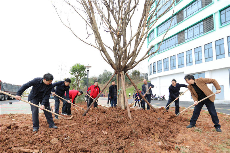 领导班子植树.jpg