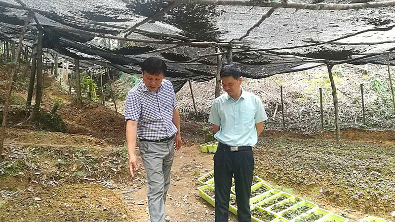 QQ图片20170829093611.jpg