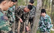我院病虫害防治师生团队参加龙南林业松材线虫病生态防治科技服务项目