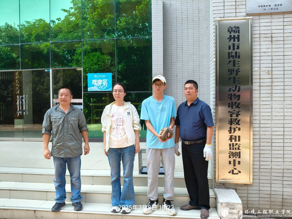 中华穿山甲